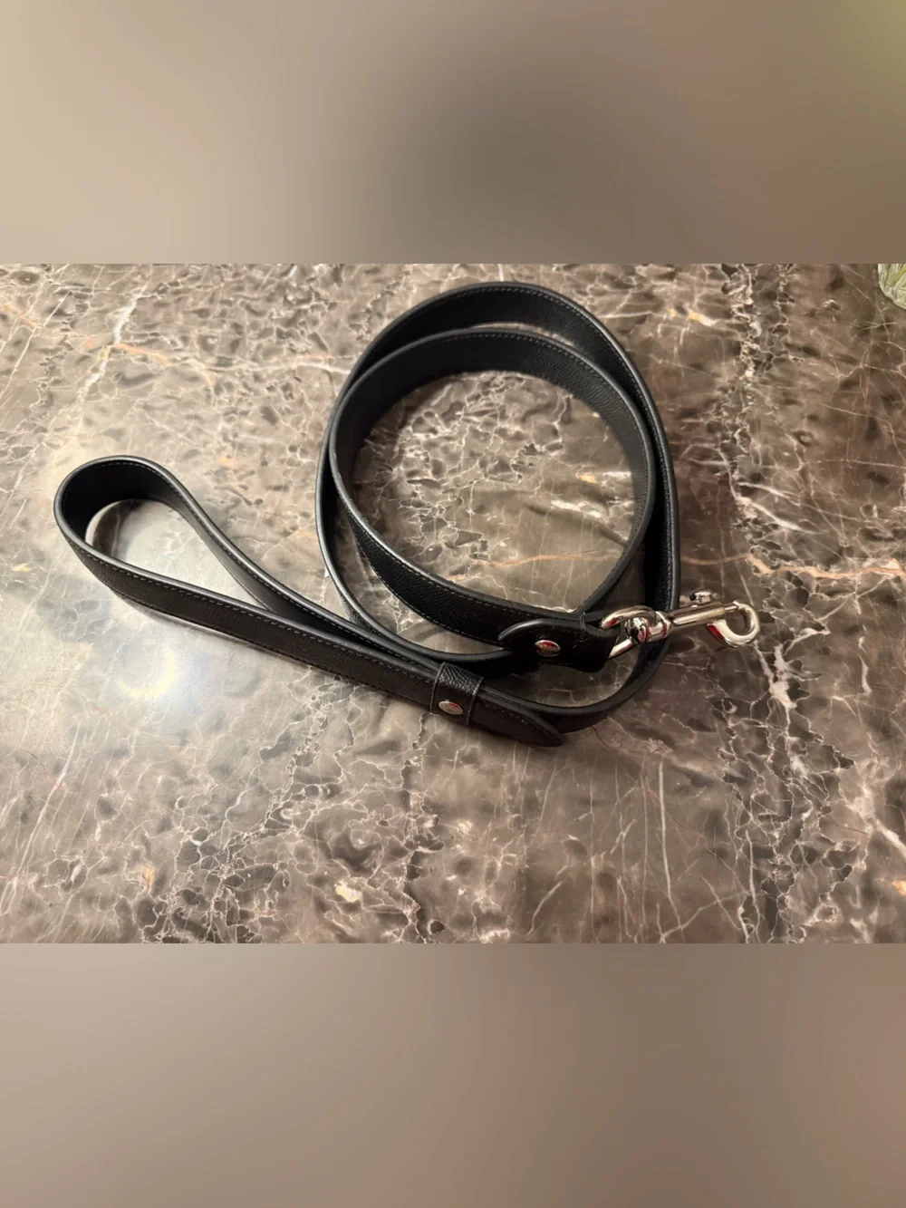 Coach Black Leather Dog Leash with Silver Hardware